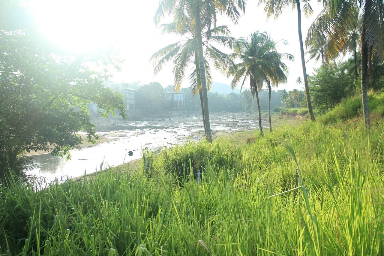 Ma Oya Retreat Pinnawala Pinnawala (Kegalle) Kültér fotó