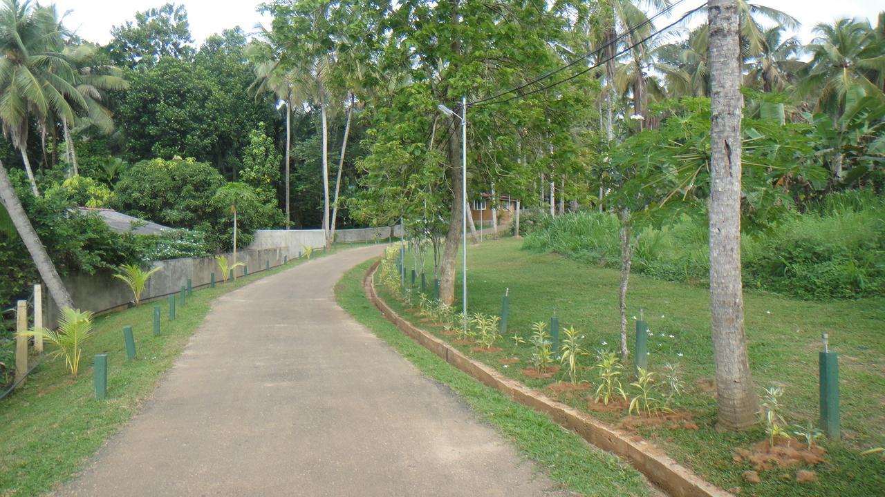 Ma Oya Retreat Pinnawala Pinnawala (Kegalle) Kültér fotó