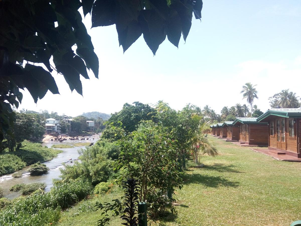 Ma Oya Retreat Pinnawala Pinnawala (Kegalle) Kültér fotó