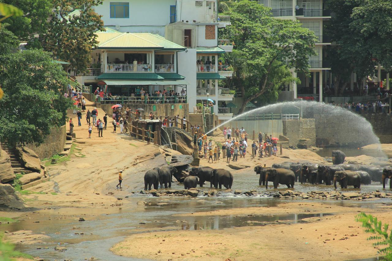 Ma Oya Retreat Pinnawala Pinnawala (Kegalle) Kültér fotó