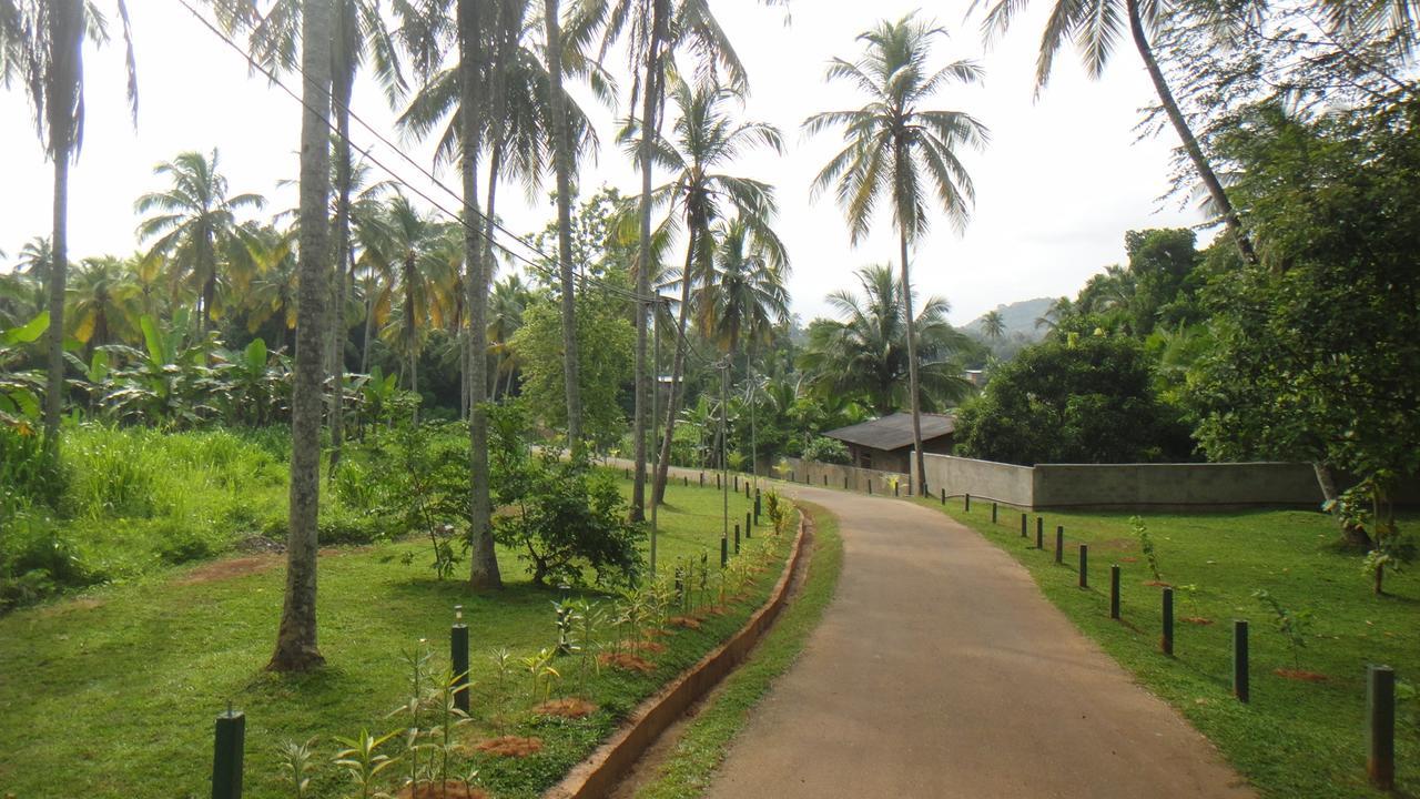 Ma Oya Retreat Pinnawala Pinnawala (Kegalle) Kültér fotó