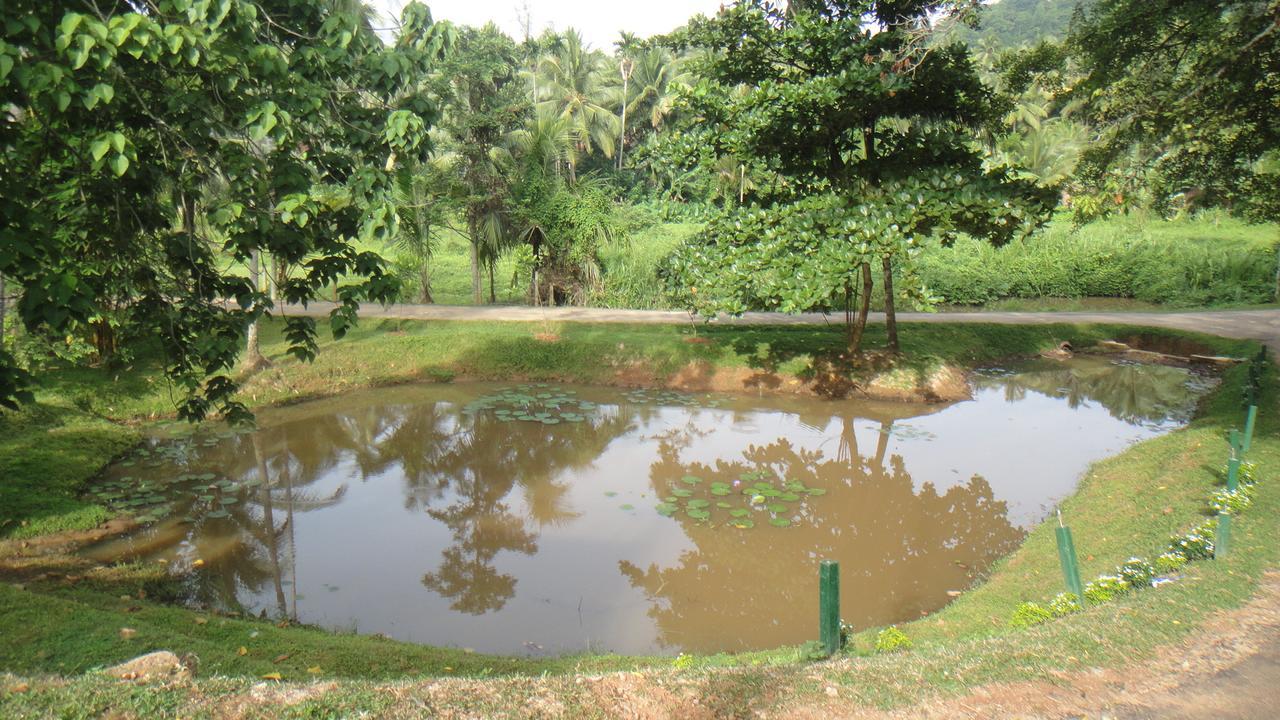 Ma Oya Retreat Pinnawala Pinnawala (Kegalle) Kültér fotó